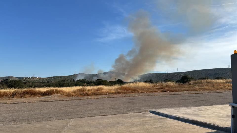 Πυρκαγιά σε αγροτοδασική έκταση στη θέση Ιερά Μονή Παναγίας Θεοσκέπαστης στην Κερατέα Πυρκαγιά σε αγροτοδασική έκταση στη θέση Ιερά Μονή Παναγίας Θεοσκέπαστης στην Κερατέα