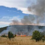 Πυρκαγιά σε αγροτική έκταση στο Νεοχώρι Ευβοίας