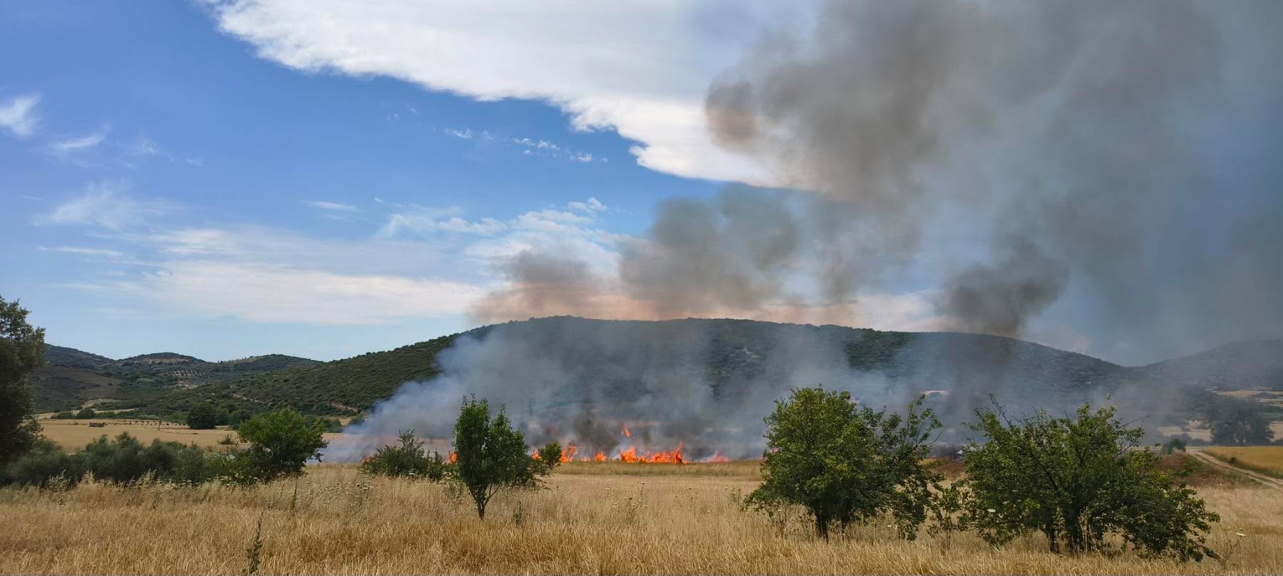 Πυρκαγιά σε αγροτική έκταση στο Νεοχώρι Ευβοίας Πυρκαγιά σε αγροτική έκταση στο Νεοχώρι Ευβοίας