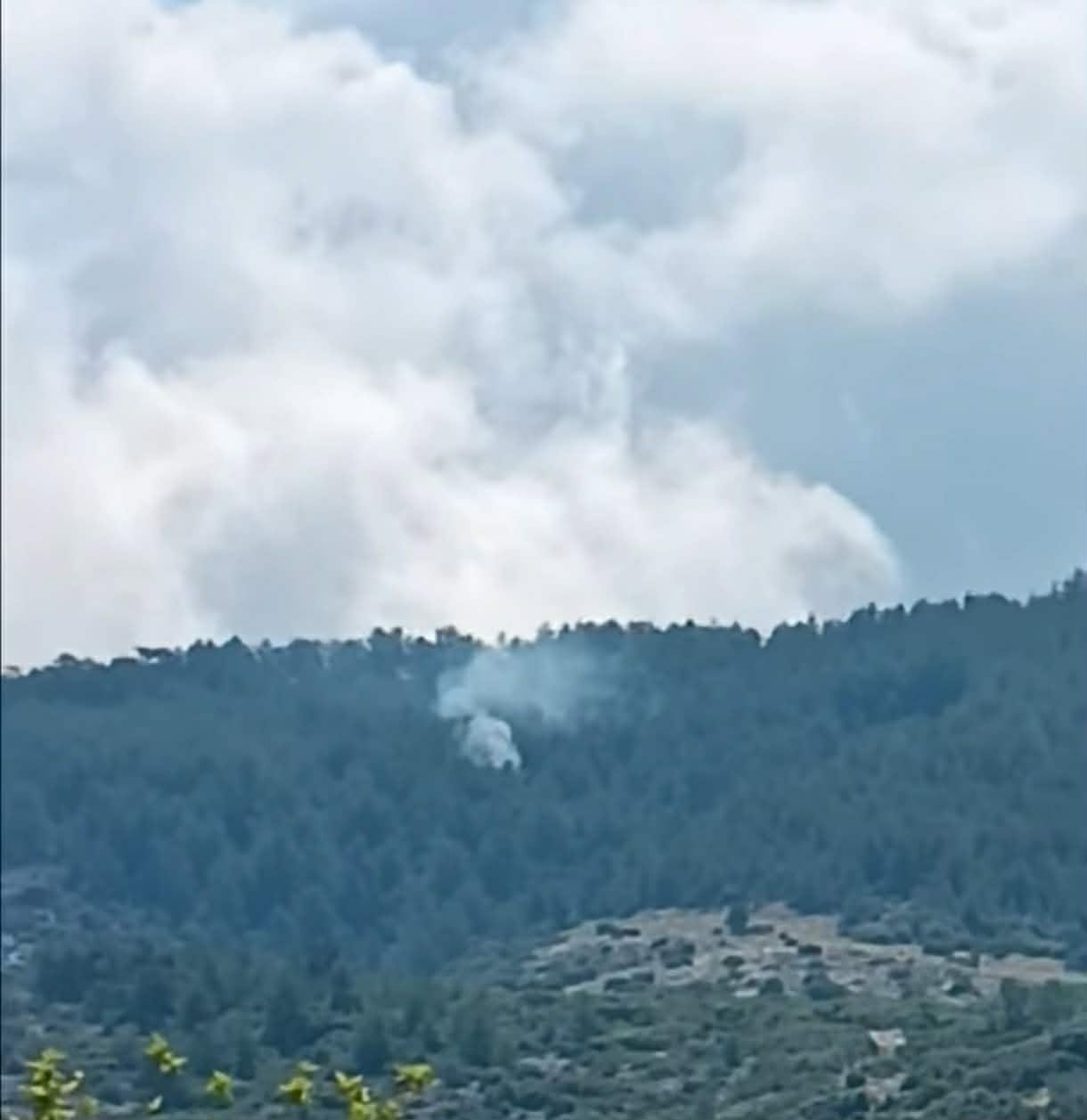 Πυρκαγιά από κεραυνό σε δασική έκταση στον Θεολόγο Θάσου Πυρκαγιά από κεραυνό σε δασική έκταση στον Θεολόγο Θάσου