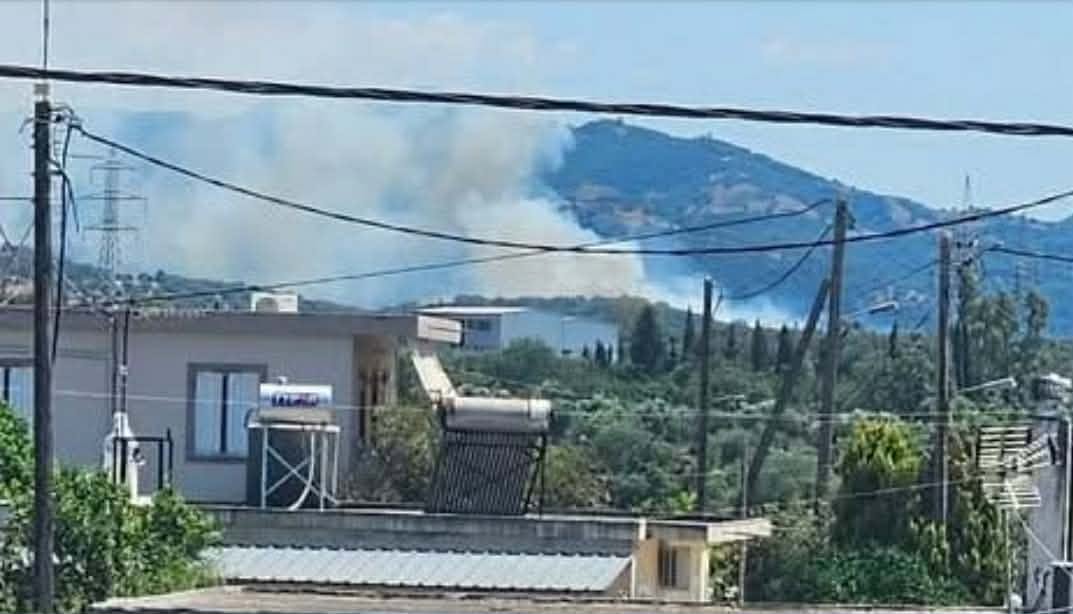 Πυρκαγιά σε δασική έκταση στην περιοχή Ζησιμέικα στη Δυτική Αχαΐα Πυρκαγιά σε δασική έκταση στην περιοχή Ζησιμέικα στη Δυτική Αχαΐα
