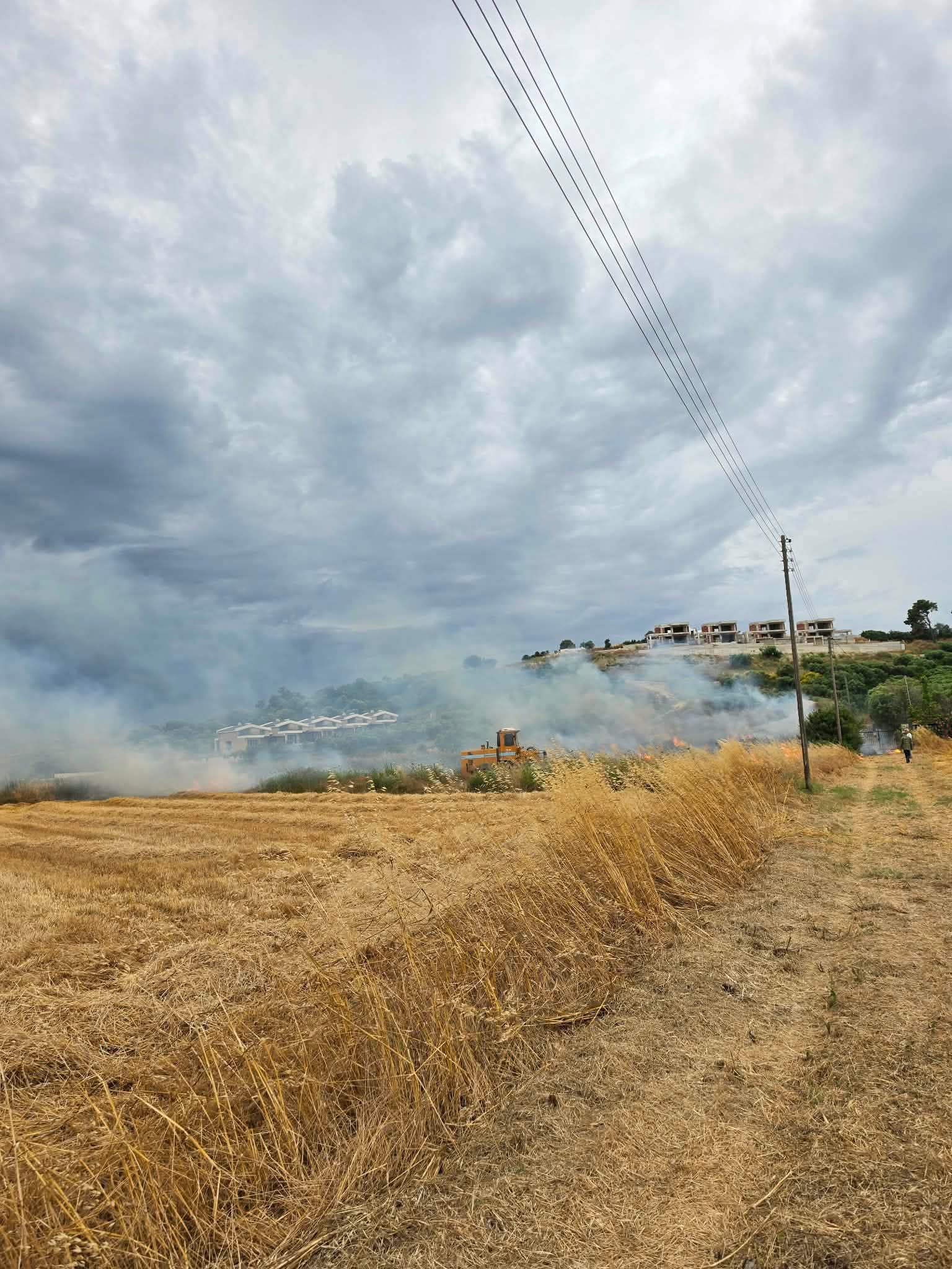 Πυρκαγιά σε αγροτική έκταση μεταξύ Καλάνδρας και παραλίας Φούρκας Χαλκιδικής Πυρκαγιά σε αγροτική έκταση μεταξύ Καλάνδρας και παραλίας Φούρκας Χαλκιδικής