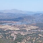Πυρκαγιά σε χαμηλή βλάστηση πλησίον της οδού Λαμπτρών στο Κορωπί