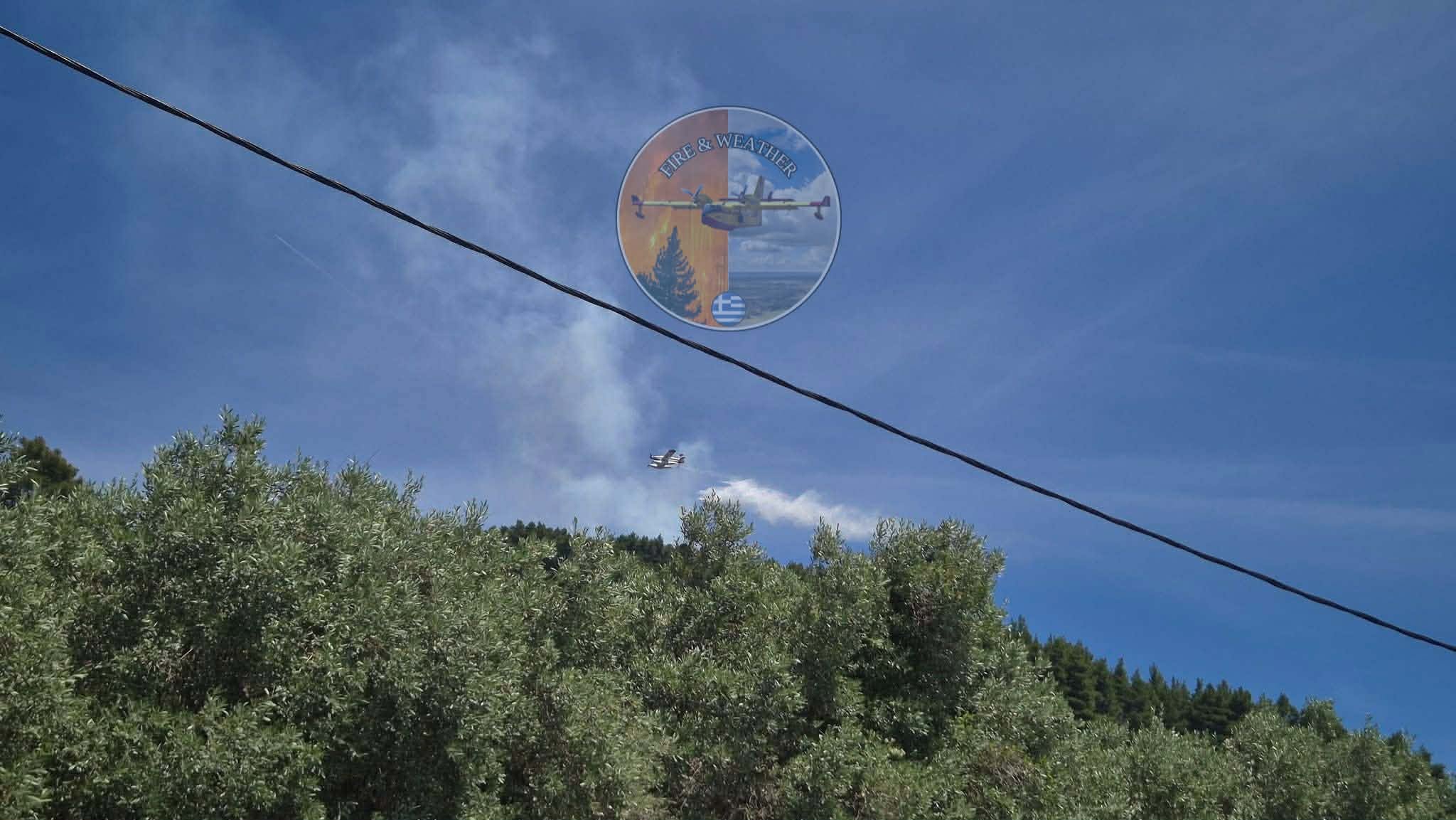 Πυρκαγιά σε δασική έκταση πάνω από την περιοχή Κλήμα στη Σκόπελο Πυρκαγιά σε δασική έκταση πάνω από την περιοχή Κλήμα στη Σκόπελο
