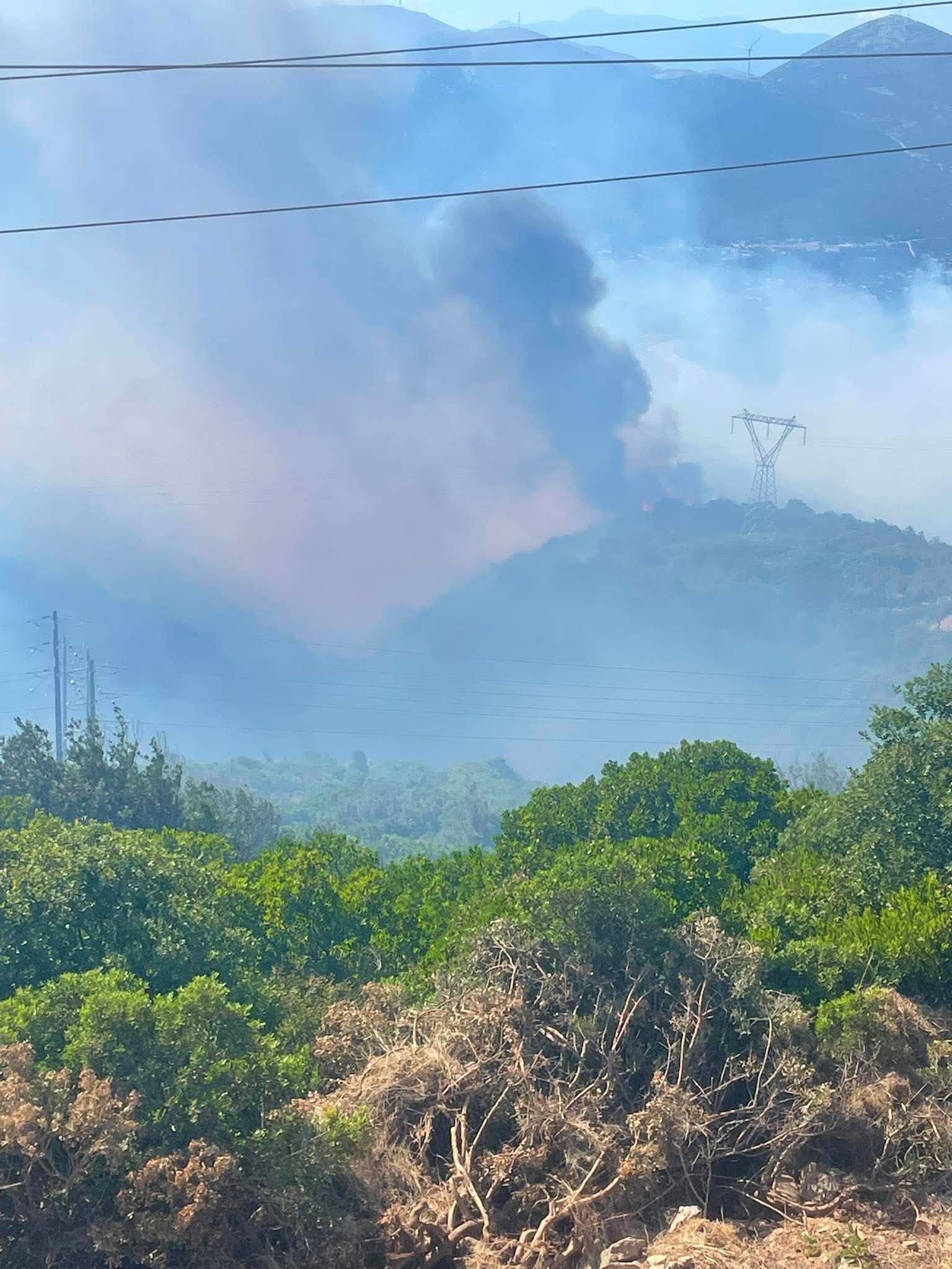 Πυρκαγιά σε δασική έκταση στην περιοχή Αλμυροπόταμος στην Εύβοια Πυρκαγιά σε δασική έκταση στην περιοχή Αλμυροπόταμος στην Εύβοια