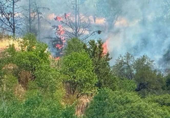 Πυρκαγιά σε χαμηλή βλάστηση στο Ωραιόκαστρο Θεσσαλονίκης