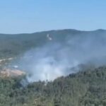 Πυρκαγιά σε δασική έκταση στην περιοχή Μέγα Δέρειο Έβρου
