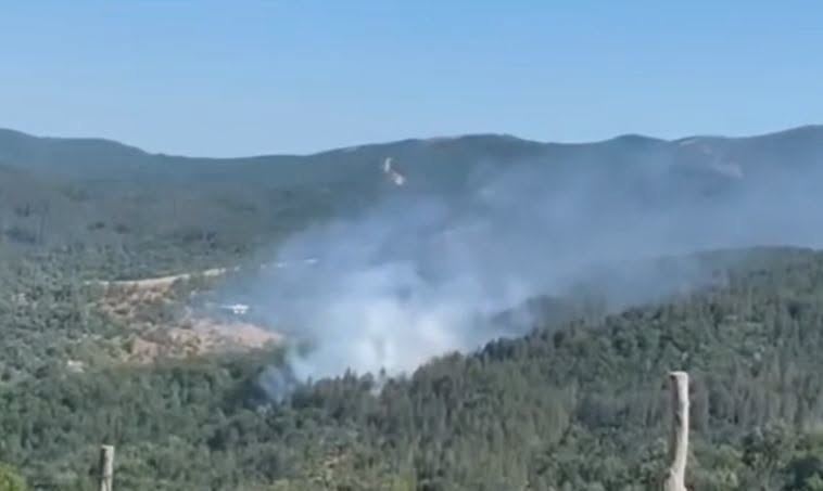 Πυρκαγιά σε δασική έκταση στην περιοχή Μέγα Δέρειο Έβρου Πυρκαγιά σε δασική έκταση στην περιοχή Μέγα Δέρειο Έβρου
