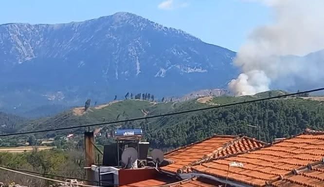 Πυρκαγιά σε δασική έκταση στην περιοχή Σπαθάρι Ευβοίας