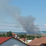 Πυρκαγιά σε δασική έκταση στον Ακρίτα Κιλκίς