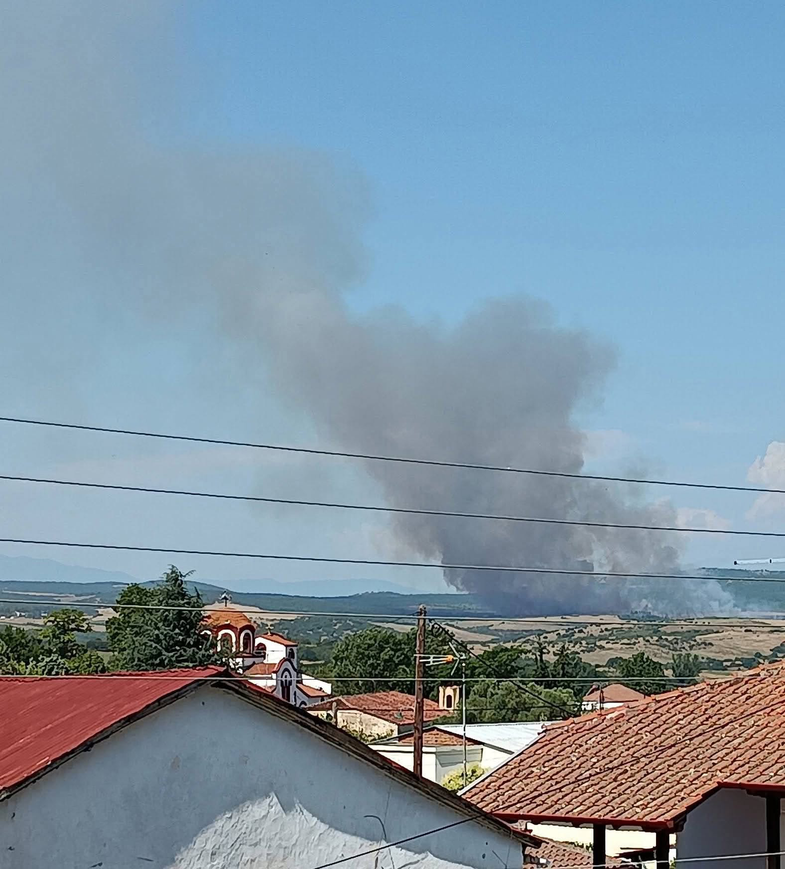 Πυρκαγιά σε δασική έκταση στον Ακρίτα Κιλκίς