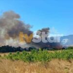 Πυρκαγιά σε αγροτοδασική έκταση στη Μαριολάτα Φωκίδας