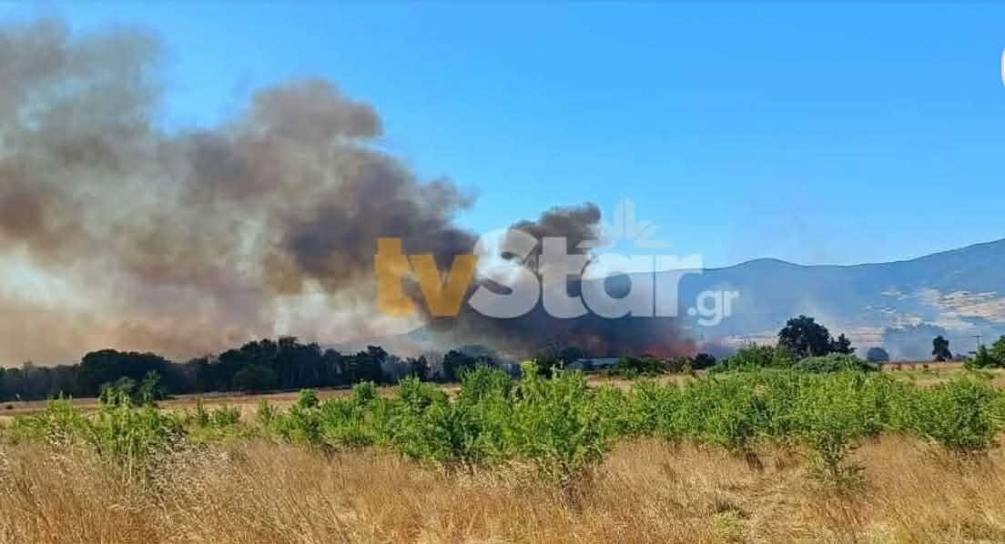 Πυρκαγιά σε αγροτοδασική έκταση στη Μαριολάτα Φωκίδας