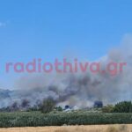 Πυρκαγιά σε χαμηλή βλάστηση στην Πέτρα Βοιωτίας