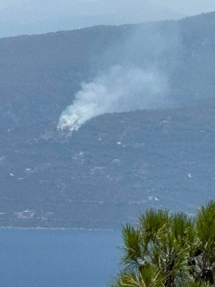 Πυρκαγιά σε δασική έκταση στο Πευκάλι Κορινθίας