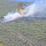 Πυρκαγιά σε δασική έκταση στον Άγιο Βασίλειο Βοιωτίας