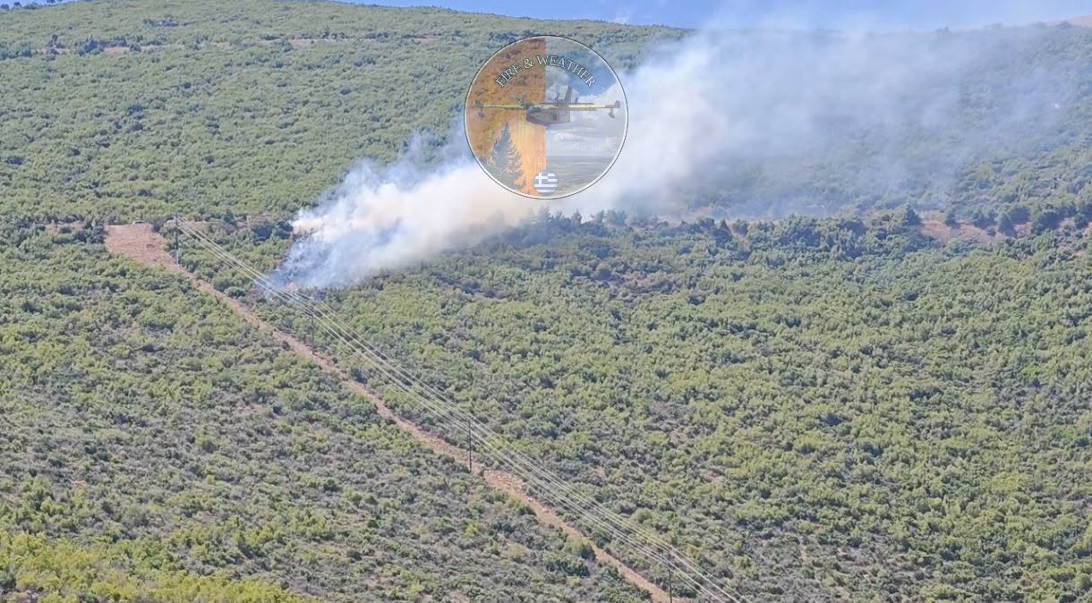 Πυρκαγιά σε δασική έκταση στον Άγιο Βασίλειο Βοιωτίας
