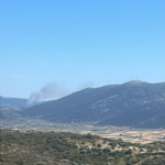 Πυρκαγιά σε δασική έκταση στην περιοχή Αλμυροπόταμος στην Εύβοια