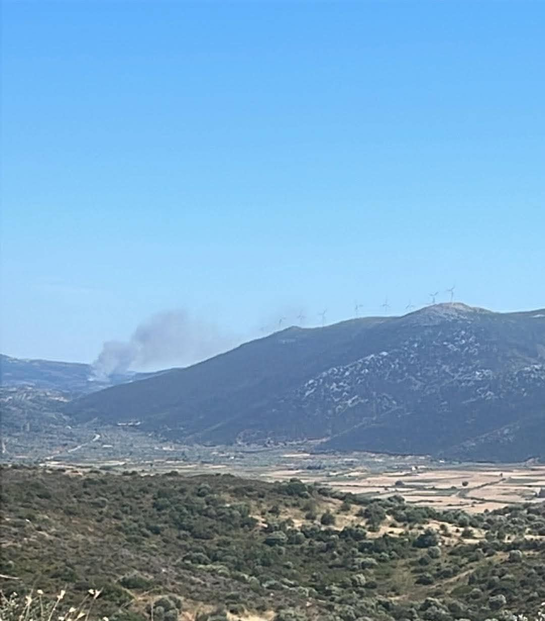Πυρκαγιά σε δασική έκταση στην περιοχή Αλμυροπόταμος στην Εύβοια Πυρκαγιά σε δασική έκταση στην περιοχή Αλμυροπόταμος στην Εύβοια