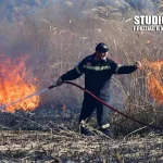 Πυρκαγιά σε ελαιώνα στην Ασίνη Αργολίδας