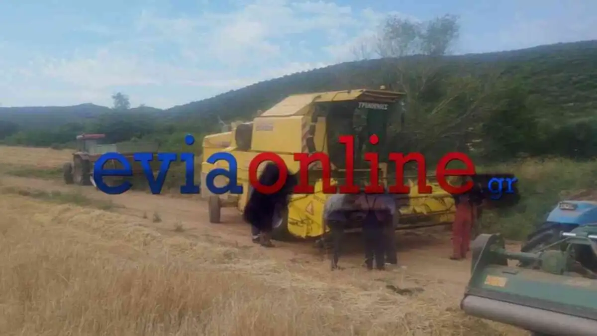 Συνελήφθη 64χρονος για πυρκαγιά από αμέλεια στο Νεοχώρι Ευβοίας