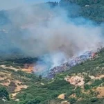 Τρεις συλλήψεις για την φωτιά στα Πεύκα Θεσσαλονίκης - Έκαναν εργασίες με τροχό
