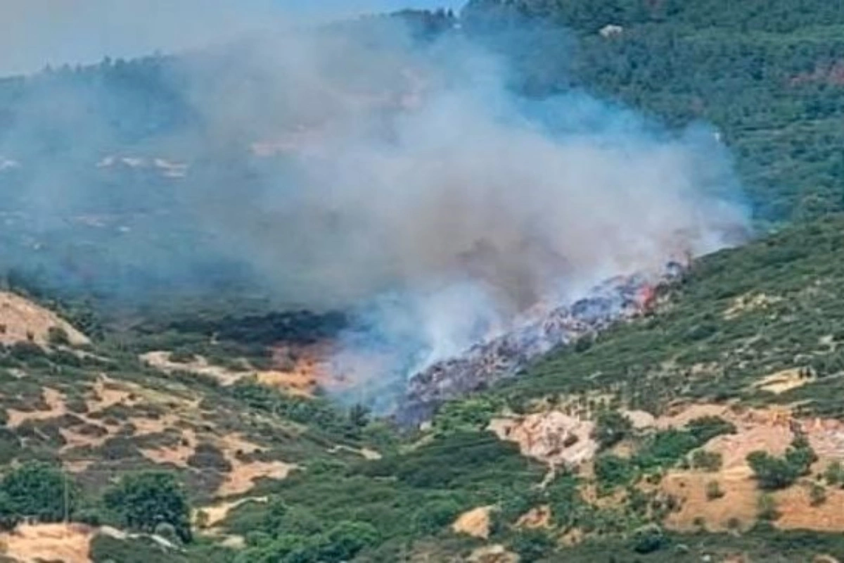 Τρεις συλλήψεις για την φωτιά στα Πεύκα Θεσσαλονίκης - Έκαναν εργασίες με τροχό