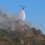 Πυρκαγιά σε αγροτοδασική έκταση στην Αλυκή Βοιωτίας