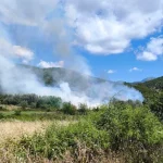 Πυρκαγιά σε χορτολιβαδική έκταση στο Μέγα Δέντρο Αιτωλοακαρνανίας