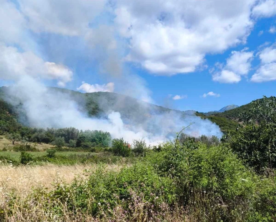 Πυρκαγιά σε χορτολιβαδική έκταση στο Μέγα Δέντρο Αιτωλοακαρνανίας Πυρκαγιά σε χορτολιβαδική έκταση στο Μέγα Δέντρο Αιτωλοακαρνανίας