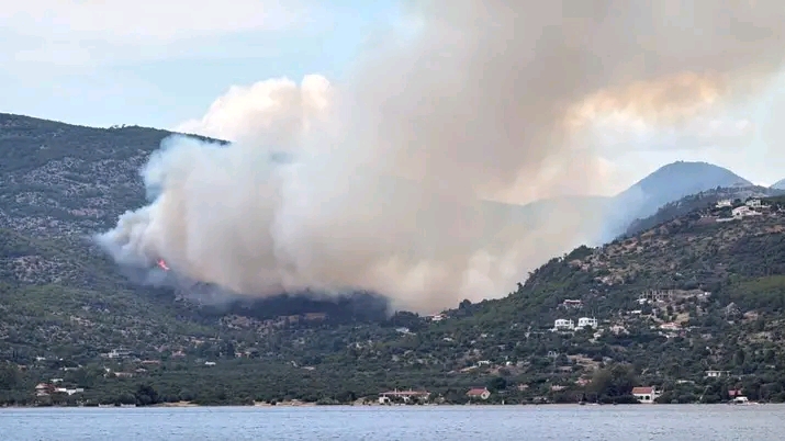 Πυρκαγιά σε δασική έκταση στην περιοχή Περαχώρα Κορινθίας