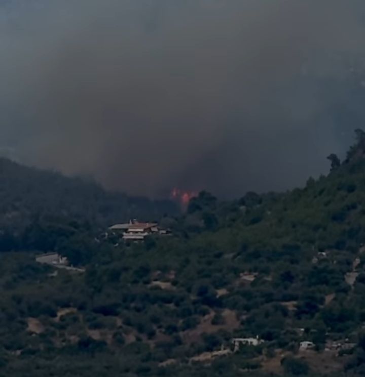 Πυρκαγιά σε δασική έκταση στην περιοχή Περαχώρα Κορινθίας