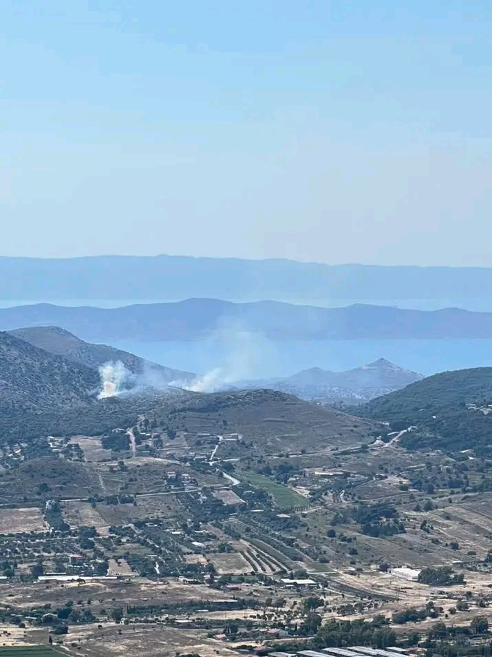 Πυρκαγιά σε δασική έκταση στην Πλάκα Κερατέας