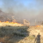 Άμεσα τέθηκε υπό μερικό έλεγχο πυρκαγιά σε χαμηλή βλάστηση στην Βλυχάδα Μεγάρων Αττικής