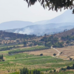 Πυρκαγιά σε χαμηλή βλάστηση στην περιοχή Ήμερο Πεύκο στα Σπάτα Αττικής