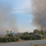 Πυρκαγιά σε αγροτοδασική έκταση στην Εργάνη Ροδόπης