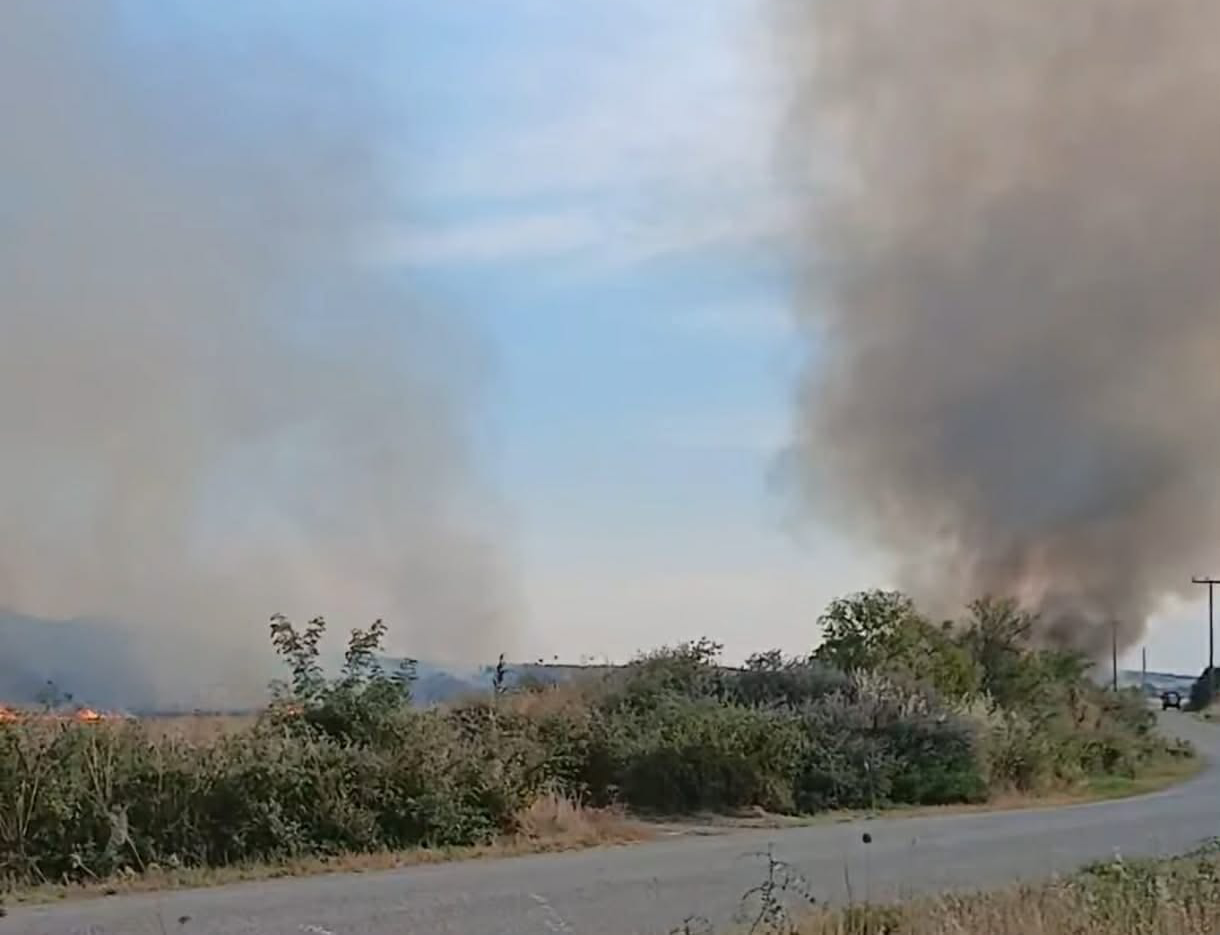 Πυρκαγιά σε αγροτοδασική έκταση στην Εργάνη Ροδόπης