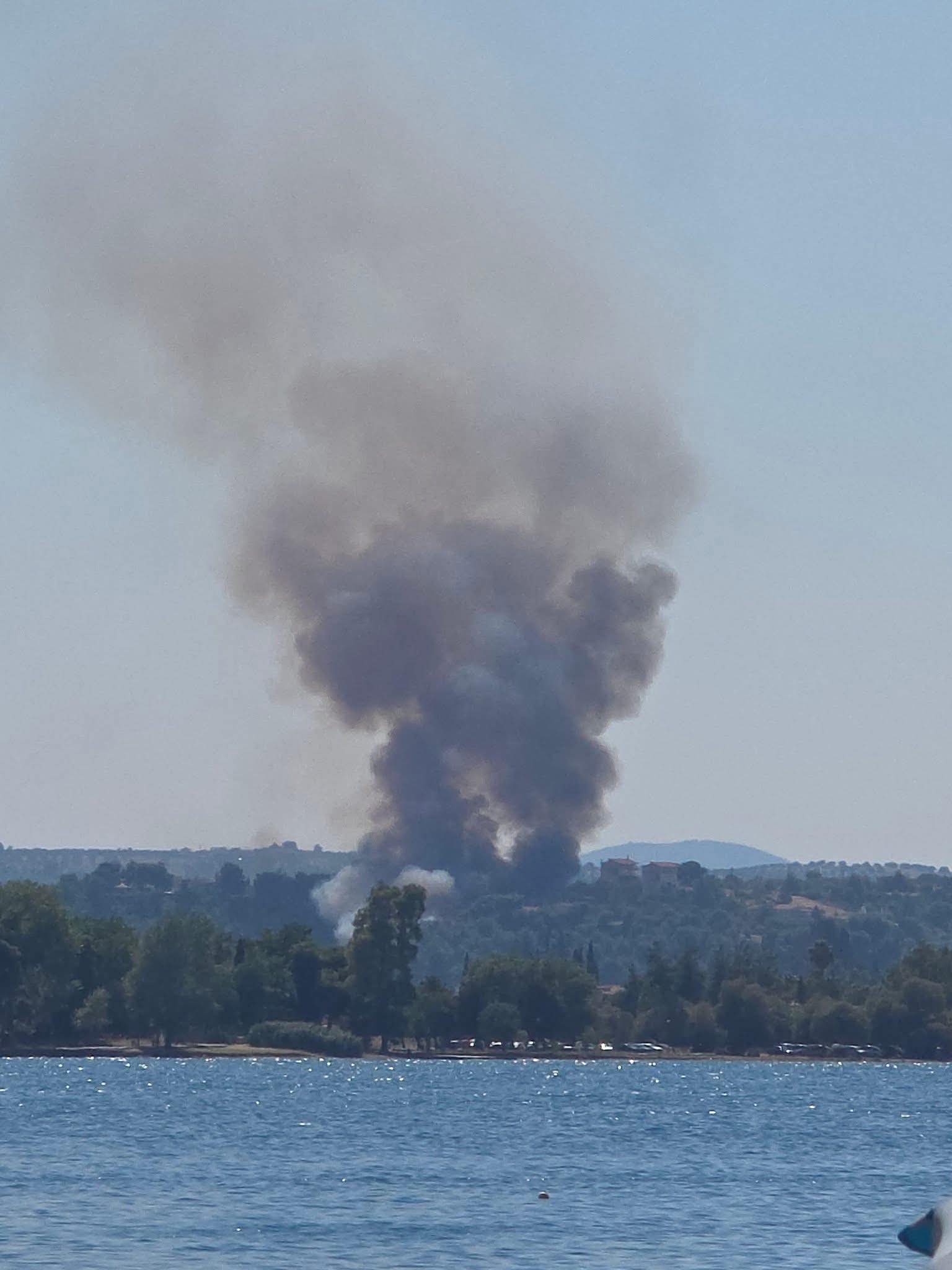 Πυρκαγιά σε αγροτοδασική έκταση στο Χαλκούτσι Ωρωπού Πυρκαγιά σε αγροτοδασική έκταση στο Χαλκούτσι Ωρωπού