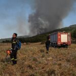 Πυρκαγιά σε χαμηλή βλάστηση στην περιοχή Ταρσός Βοιωτίας