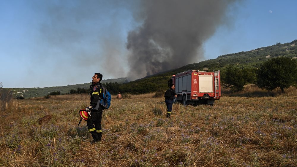 Πυρκαγιά σε χαμηλή βλάστηση στην περιοχή Ταρσός Βοιωτίας