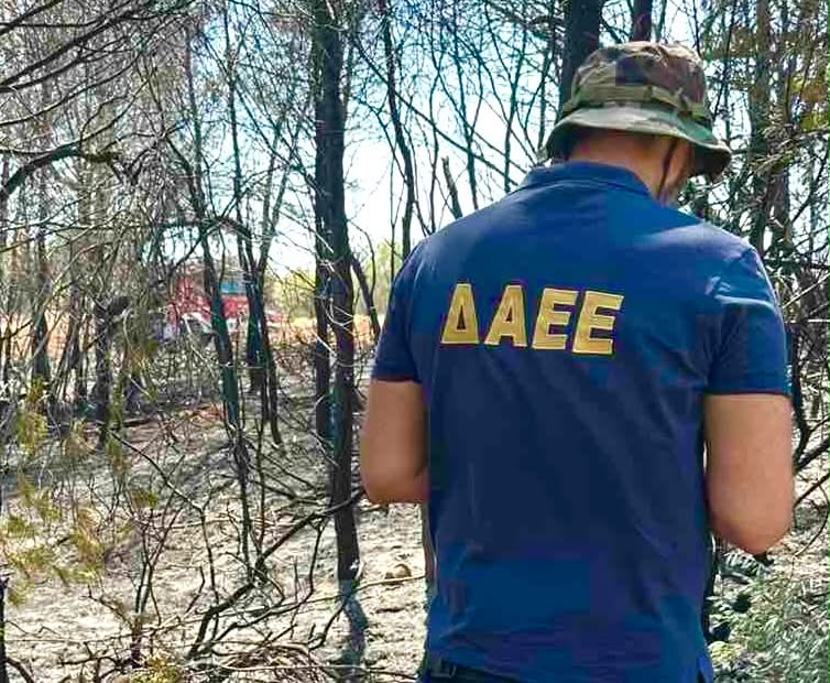 Συνελήφθη 52χρονος για τη φωτιά στο Πετροχώρι Τρικάλων – Προκλήθηκε από θερμές εργασίες