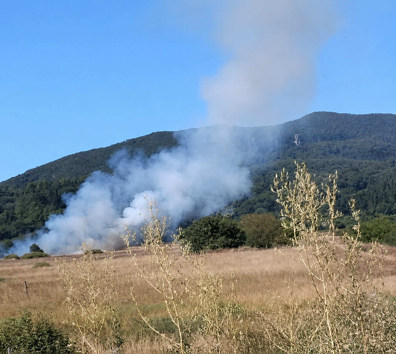 Πυρκαγιά σε χαμηλή βλάστηση στο Λιβάδι Ρόπα Κέρκυρας Πυρκαγιά σε χαμηλή βλάστηση στο Λιβάδι Ρόπα Κέρκυρας