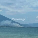 Πυρκαγιά σε χαμηλή βλάστηση στην δροσιά Ευβοίας