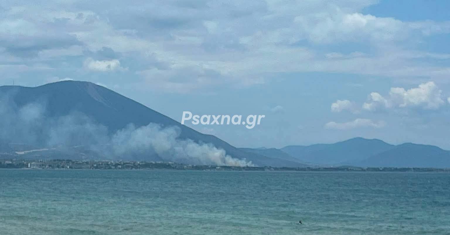Πυρκαγιά σε χαμηλή βλάστηση στην δροσιά Ευβοίας