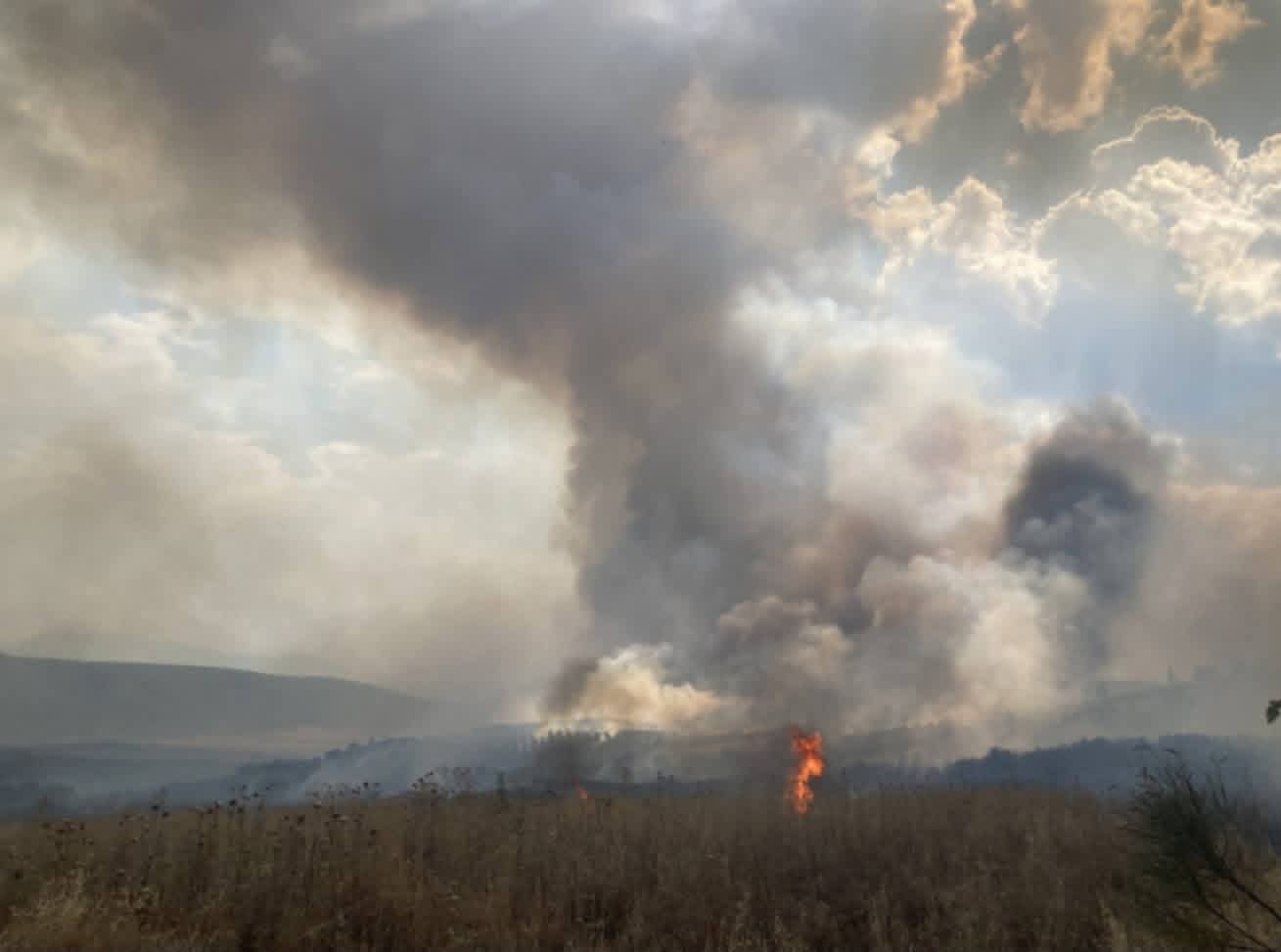 Ενισχύθηκαν οι δυνάμεις στην πυρκαγιά στο Καλαπόδι Φθιώτιδας Ενισχύθηκαν οι δυνάμεις στην πυρκαγιά στο Καλαπόδι Φθιώτιδας