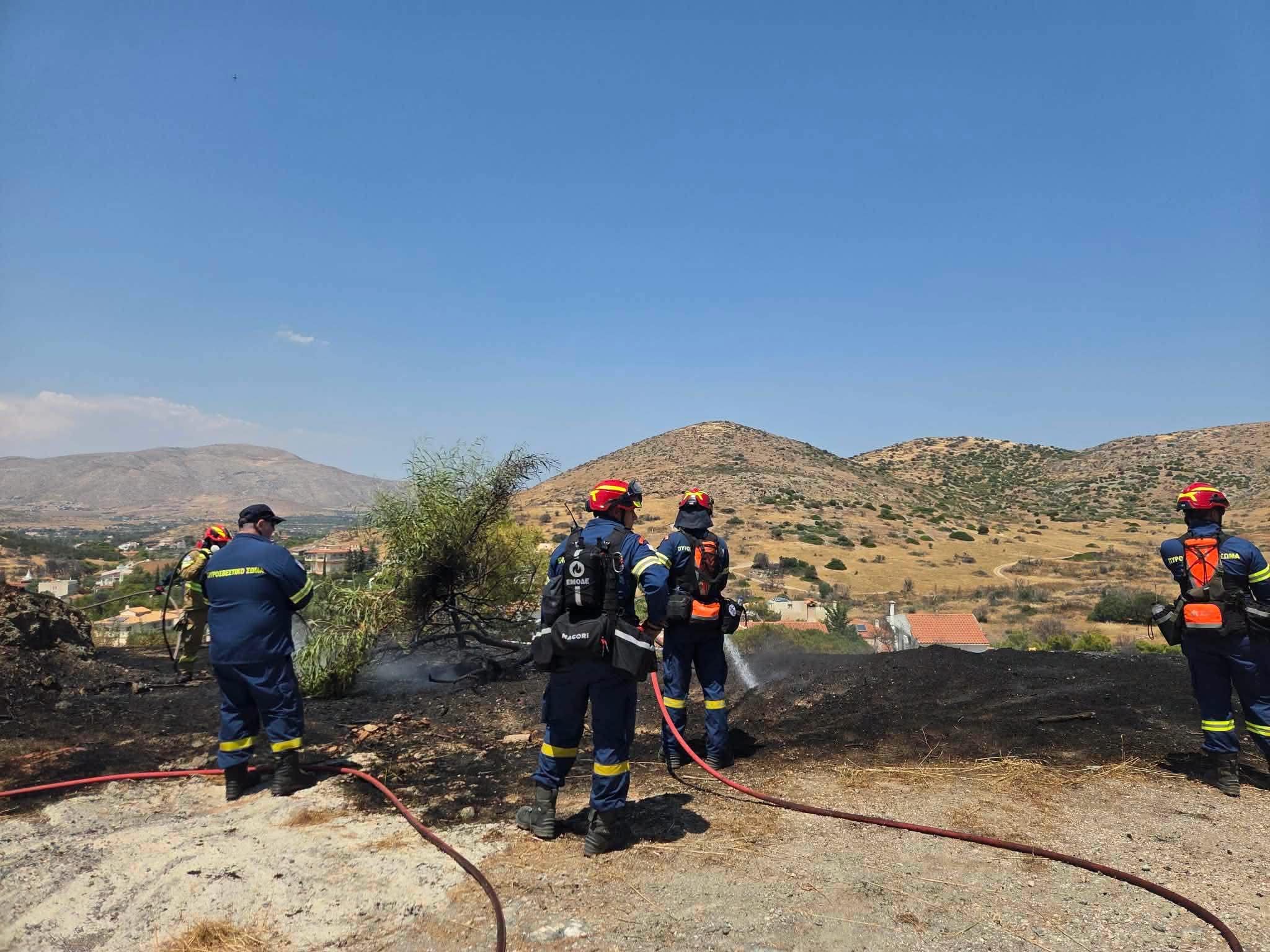 Άμεσα κατεσβέσθη η πυρκαγιά σε αγροτοδασική έκταση στην περιοχή Μεσοχώρι Αναβύσσου Αττικής