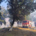 Πυροσβεστική: 29 αγροτοδασικές πυρκαγιές το τελευταίο 24ωρο