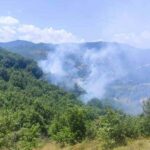 Πυρκαγιά σε δασική έκταση στα Κανάλια Μουζακίου