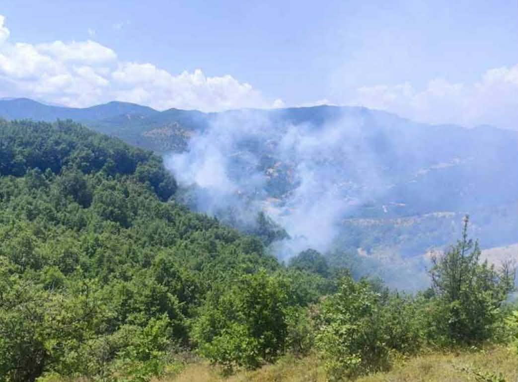 Πυρκαγιά σε δασική έκταση στα Κανάλια Μουζακίου Πυρκαγιά σε δασική έκταση στα Κανάλια Μουζακίου