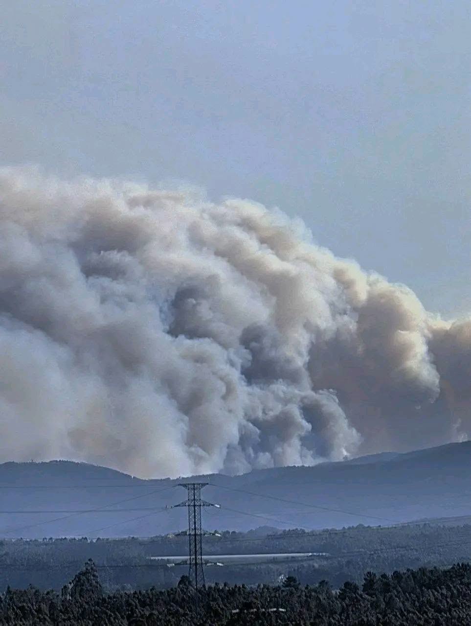 Εννέα τραυματίες από τις μεγάλες δασικές πυρκαγιές στην Πορτογαλία – Ζητήθηκαν διεθνείς ενισχύσεις